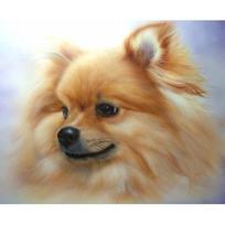 Deimantinė tapyba kryželiu Siuvinėti Pomeranijos paveikslai Mozaika pilnai apvali deimantinė siuvinėjimo puošmena 20X30CM
