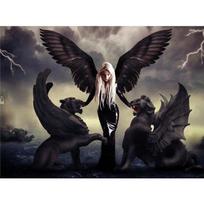 Deimantiniai siuvinėjimai angelas demonas drakonai deimantiniai taškais raštas 5D DIY apvalūs paveikslai 20X30CM