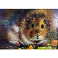 Miela jūrų kiaulytės tapyba deimantiniais siuvinėjimais Išpardavimas Viso kvadrato apvalus deimantinis paveikslas 20X30CM black