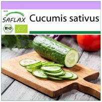 SAFLAX – Ekologiški – Agurkai – Marketmore – 20 sėklų – Cucumis sativus