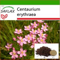 SAFLAX - Common Centaury - 250 sėklų - Su vazonų substratu geresniam auginimui - Centaurium erythraea