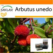 SAFLAX - Sodas maiše - Braškių medis - 50 sėklų - Su substratu tinkamame stovimame maišelyje - Arbutus unedo