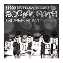 SOCIALINIS KELIAS KLAUSIMŲ VAIKŲ (ŽYGDARBIS. LISA)  SUPER BOWL JAPANESE Versija REGULAR EDITION Regular