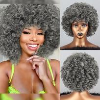 LISI HAIR Afro Kinky garbanoti perukai su kirpčiukais Sintetiniai perukai natūraliems plaukams Sidabrinis pilkas perukas Cosplay karščiui atsparus pluoštinis pūkuotas perukas 25CM