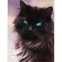 „Animal Cat“ pilno apvalaus gręžimo deimantinis dažymas, 5D „pasidaryk pats“ deimantinis siuvinėjimas 20X30CM