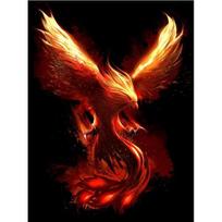 5D „pasidaryk pats“ deimantinis paveikslas „Phoenix Bird“ deimantinis kalnų krištolo siuvinėjimas kryželiu 5D namų dekoro dovana 20X30CM