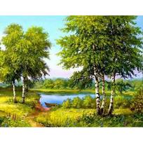 5D „pasidaryk pats“ deimantų tapyba deimantų mozaikos piktogramos Daimondo siuvinėjimas cirkonio tapyba peizažas 20X30CM black