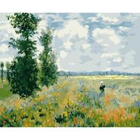 aguonos Monet sodo peizažas „pasidaryk pats“ tapyba skaičiais Sienų paveikslas Akrilo drobės tapyba namų dekoravimui 40x50cm no frame