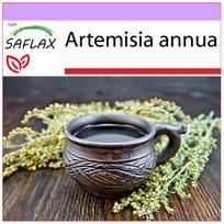 SAFLAX – Saldžiosios pelynas Qing Hao – 250 sėklų – Artemisia annua