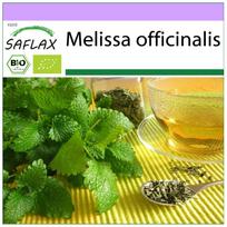 SAFLAX – Ekologiškas – Melisa – 1000 sėklų – Melissa officinalis