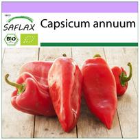 SAFLAX – Ekologiški – Saldžiosios paprikos – Ilgieji raudonieji markonai – 20 sėklų – Capsicum annuum
