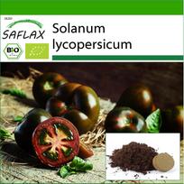 SAFLAX – Ekologiški – Pomidorai – Juodoji vyšnia – 10 sėklų – Su vazoniniu substratu geresniam auginimui – Solanum lycopersicum
