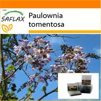 SAFLAX – Sodas maiše – Princesės medis – 200 sėklų – Su substratu tinkamame stovimame maišelyje – Paulownia tomentosa