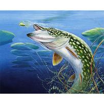 Deimantinis paveikslas Gražus žuvies kryžminio dygsnio mozaikos animacinis filmas Daimondo siuvinėjimas apvalus apvalus gręžtuvas 20X30CM
