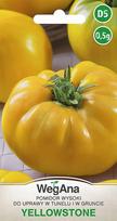 Yellowstone Tomato YELLOW 0,5g pomidorų sėklos - WegAna