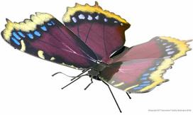 Metal Earth Metalinis 3D konstruktorius drugelis "Mourning Cloak"