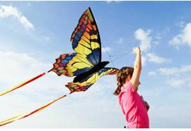 Aitvaras drugelis "Swallowtail" L