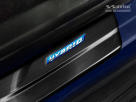 Slenksčių apsaugos Toyota RAV4 V (2018→)
