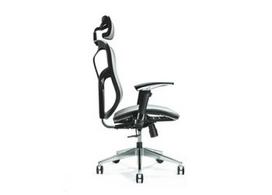 Ergonomiška biuro kėdė ERGO 500 pilka