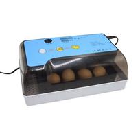 Kiaušinių BIncubator 12 Eggs Digita Mini Automatie Inkubatoriai inkubatoriai kiaušiniams perinti su automatiniu suktuvu EU Plug