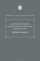 Lietuvos Respublikos autorių teisių ir gretutinių teisių įstatymo komentaras - Vytautas Mizaras, Ramūnas Birštonas, Jūratė Liauksminaitė