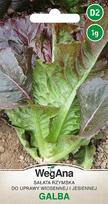 Romaine Galba salotos 1g salotų sėklos - WegAna