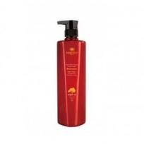 Pažeistų plaukų šampūnas su argano aliejumi Dancoly Argan Oxygen Shampoo 800ml