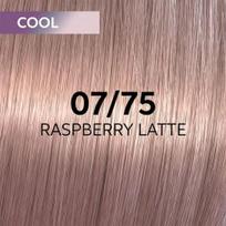 Plaukų dažai Wella Professionals Shinefinity Glaze 60ml