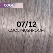 Plaukų dažai Wella Professionals Shinefinity Glaze 60ml