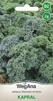 Kale Kapral 2g lapinių kopūstų sėklos - WegAna