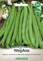Jagusia nykštukinės paprastosios pupelės 40g pupelių sėklos - WegAna