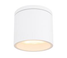 Globo 32063W - Lauko lubinis šviestuvas ALCALA 1xGX53/11W/230V IP44