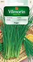 Prager sodo česnakai 2g - VILMORIN