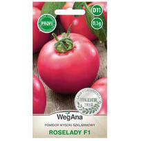 Šiltnamio efektą sukeliančių pomidorų Roselady F1 sėklos 0,1 g pomidorų sėklų - WegAna
