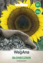 Sodo saulėgrąžos 10g saulėgrąžų - WegAna