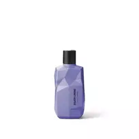 Šampūnas šviesiems plaukams NINE YARDS SILVER LINING 300ml
