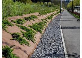 Geotekstilė piktžolių kontrolei Plantex® Gold , 125g/m², (įv.pločiai)