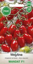 Tomato Mandat F1 20 sėklų pomidorų sėklos - WegAna