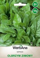 Spinach Winter Giant 10g špinatų sėklos - WegAna