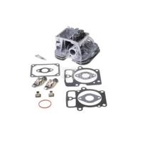 Cilindro galvutė Briggs&Stratton 796232