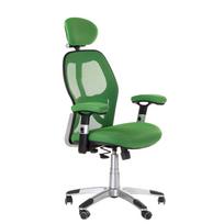 Ergonominė biuro kėdė CorpoComfort BX-4144 Green