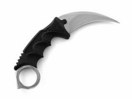 Fiksuota Geležte Karambit Silver