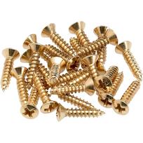 Fender 099-4924-000 Pickguard - Control Plate Mounting Screws