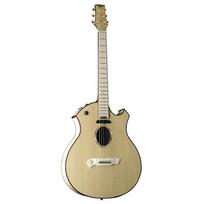 Akustinė gitara PARKER P-10EN