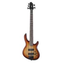 BOSINĖ GITARA CORT C-5Z ARTISAN OPVB