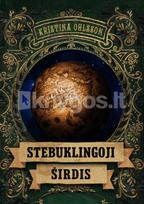 Stebuklingoji širdis - Kristina Ohlsson