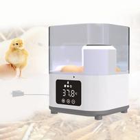 Automatinė kiaušinių inkubatoriaus perinimo mašina su temperatūros valdymu talpina 6 mini kiaušinius