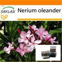 SAFLAX - Sodas maiše - Oleandras - 50 sėklų - Su substratu tinkamame stovimame maišelyje - Nerium oleander