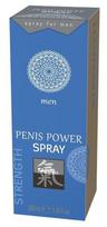 Erekciją stiprinantis purškalas Shiatsu, 30 ml