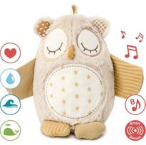 Cloud B - Nighty Night Owl (CB8524-OW)